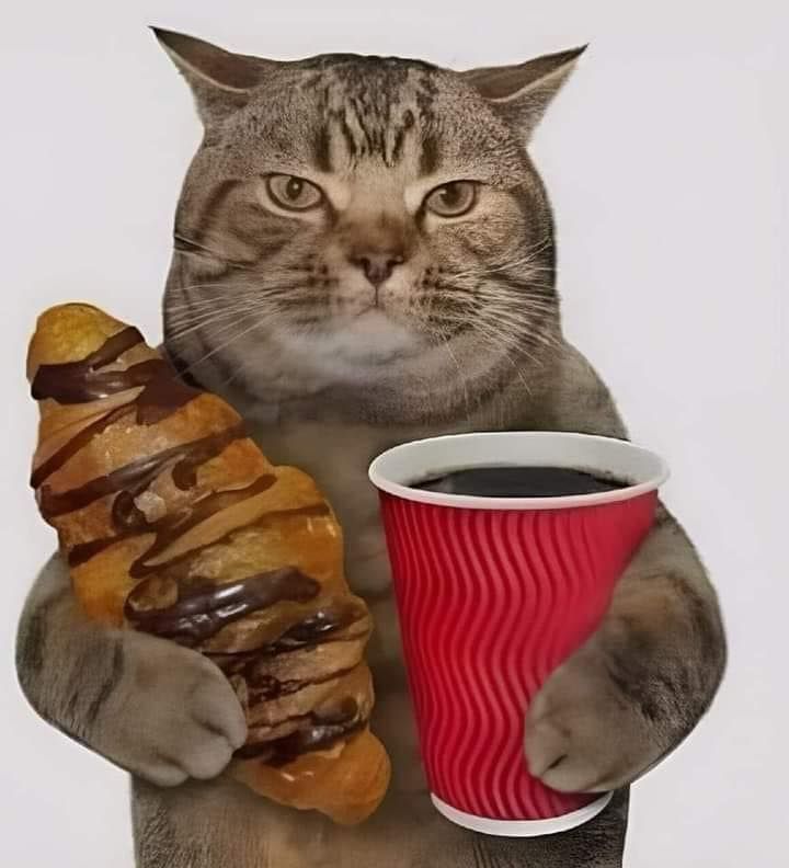 Какао-порошок: где заканчивается ГОСТ и начинается техрегламент?