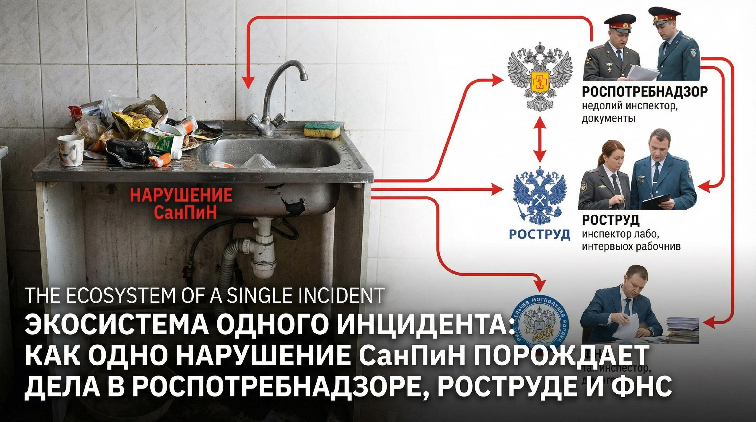 Экосистема одного инцидента: как одно нарушение СанПиН порождает дела в Роспотребнадзоре, Роструде и ФНС